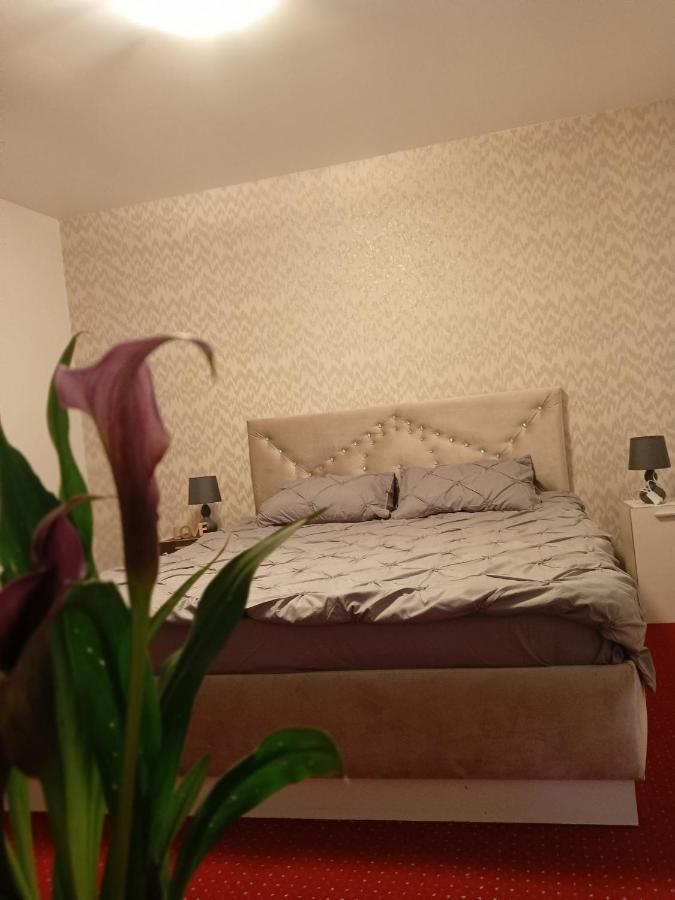 브라쇼브 Karina House 아파트 외부 사진