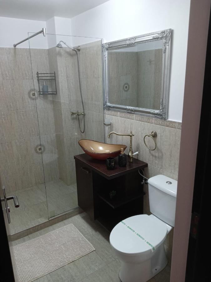 브라쇼브 Karina House 아파트 외부 사진