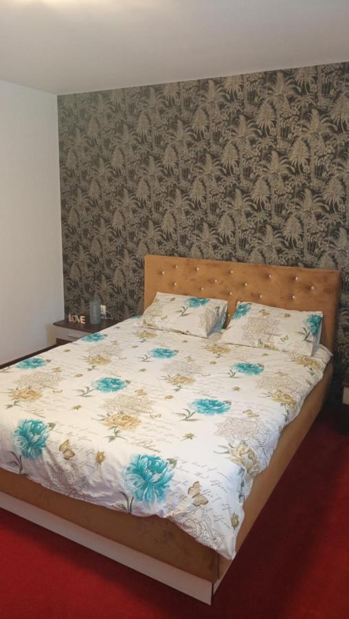 브라쇼브 Karina House 아파트 외부 사진
